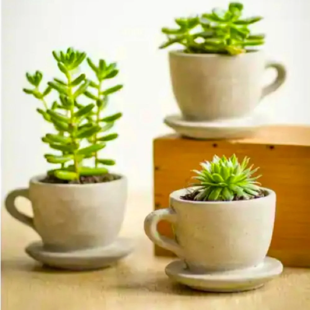 🎁Like New As is Raz Imports concrete Fern? Planter